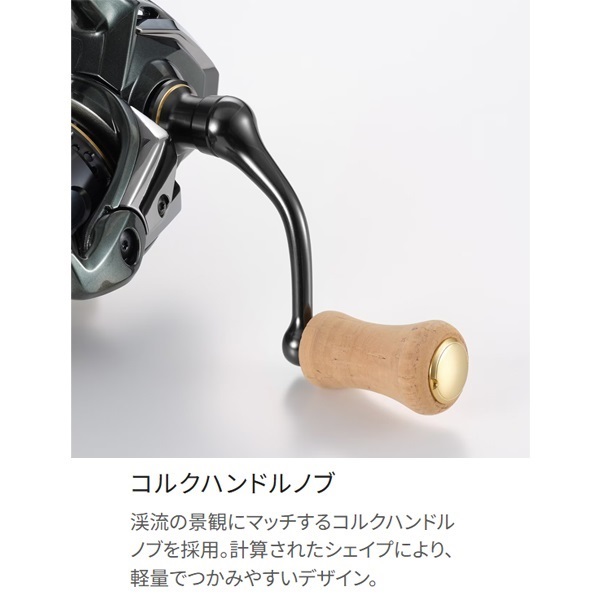 23カーディフXR